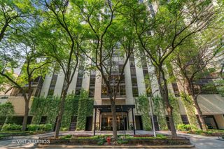 100 E Bellevue Place 4A, Chicago, IL 60611