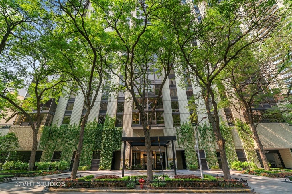 100 E Bellevue Place 4A, Chicago, IL 60611