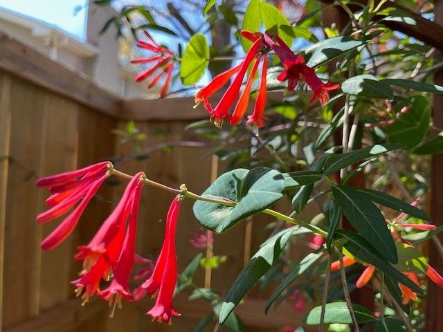 195 Cherokee Rd, Hendersonville, TN 37075