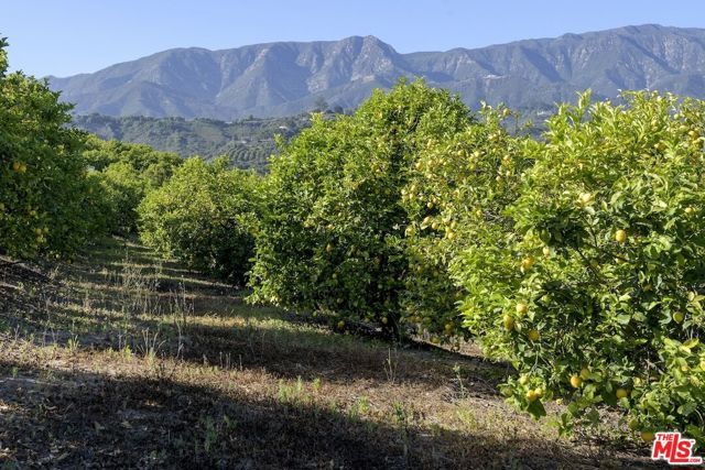 249 Lambert Road, Carpinteria, CA 93013