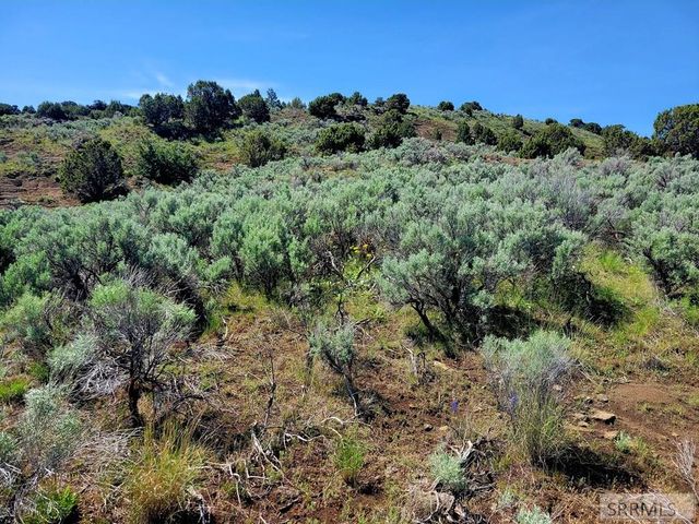 L17B5 Outlaw Pass, Menan, ID 83434