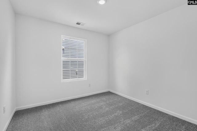 433 Happy Hollow Drive, Gaston, SC 29053
