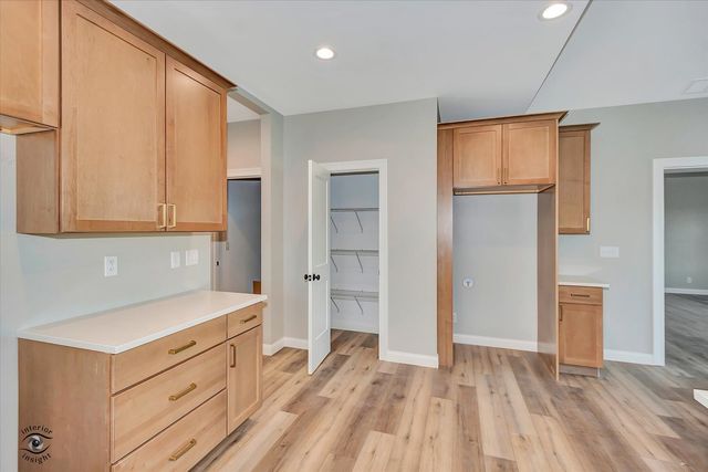 1175 S Farmstone Drive, Diamond, IL 60416