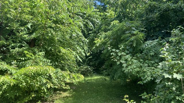 144 N La Vista Boulevard, Battle Creek, MI 49015