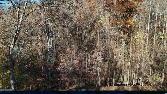 LOT 198 Northshore Drive, Cleveland, GA 30528
