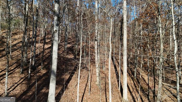 LOT 198 Northshore Drive, Cleveland, GA 30528