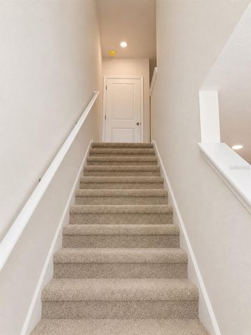 4591 STARGAZER COURT, Palm Harbor, FL 34683