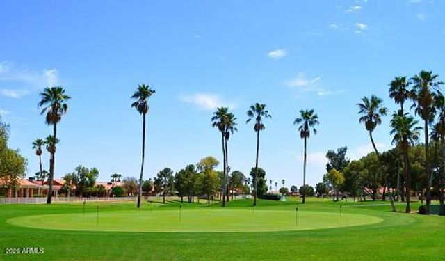 26020 S FLAME TREE Drive, Sun Lakes, AZ 85248