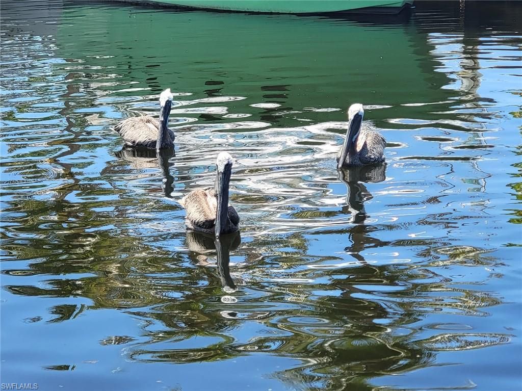 Image 45 of property listing at 3027 SW 16th PL, Cape Coral, FL 33914