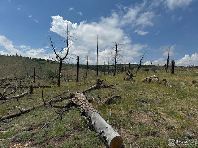 280 Rim Rd, Boulder, CO 80302