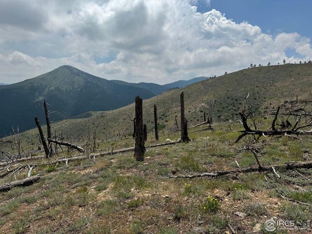 280 Rim Rd, Boulder, CO 80302