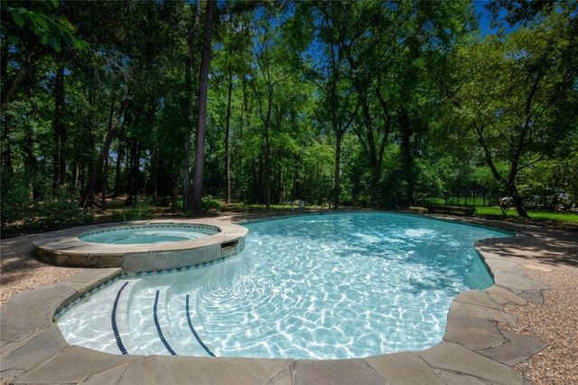 42 Skyflower Drive, The Woodlands, TX 77381