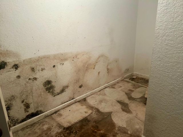 317 Berenger Walk, Royal Palm Beach, FL 33414