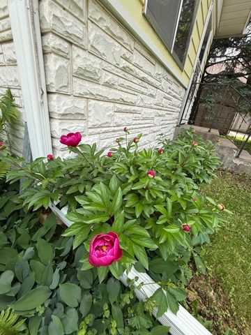 346 Vance Street, Saint Paul, MN 55102