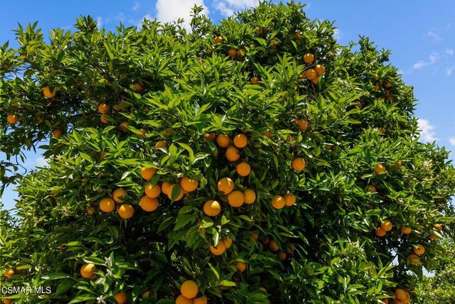 5682 Pine Grove Road, Santa Paula, CA 93060