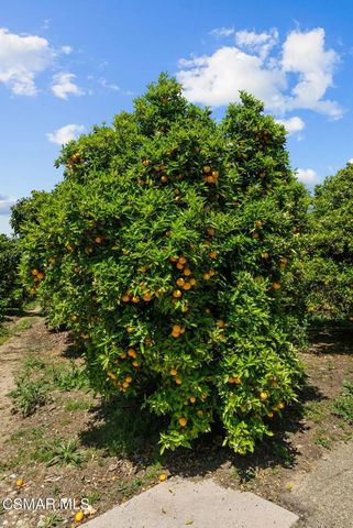 5682 Pine Grove Road, Santa Paula, CA 93060