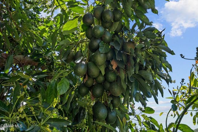 5682 Pine Grove Road, Santa Paula, CA 93060