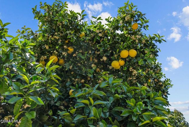 5682 Pine Grove Road, Santa Paula, CA 93060