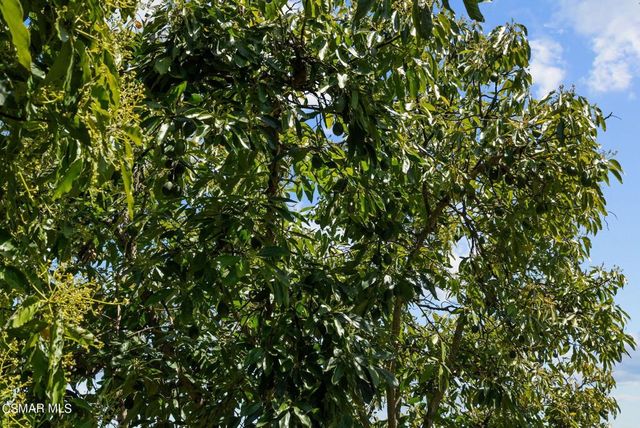 5682 Pine Grove Road, Santa Paula, CA 93060