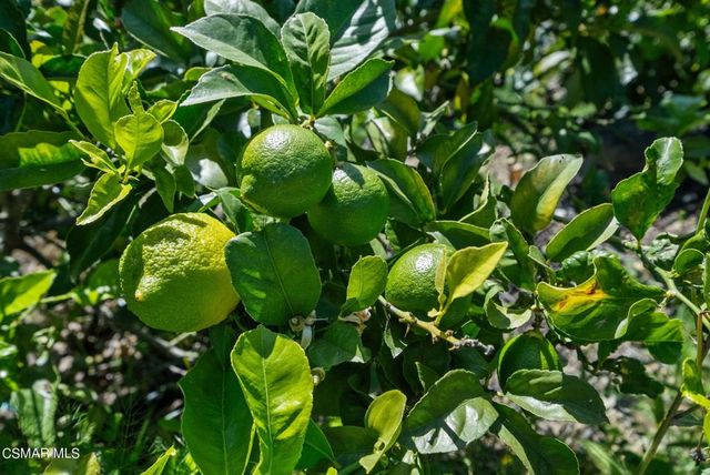 5682 Pine Grove Road, Santa Paula, CA 93060