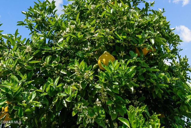 5682 Pine Grove Road, Santa Paula, CA 93060