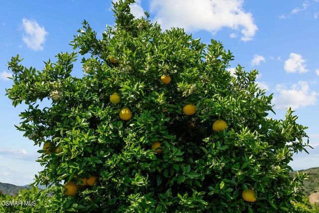 5682 Pine Grove Road, Santa Paula, CA 93060