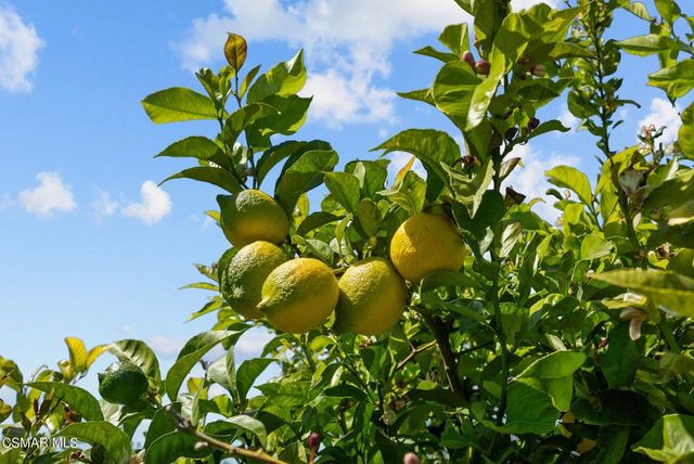 5682 Pine Grove Road, Santa Paula, CA 93060