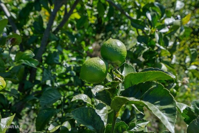 5682 Pine Grove Road, Santa Paula, CA 93060