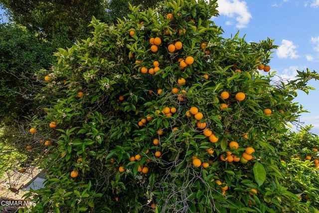 5682 Pine Grove Road, Santa Paula, CA 93060