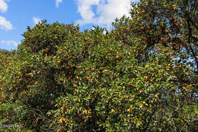 5682 Pine Grove Road, Santa Paula, CA 93060