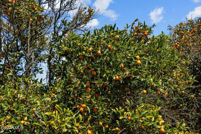 5682 Pine Grove Road, Santa Paula, CA 93060