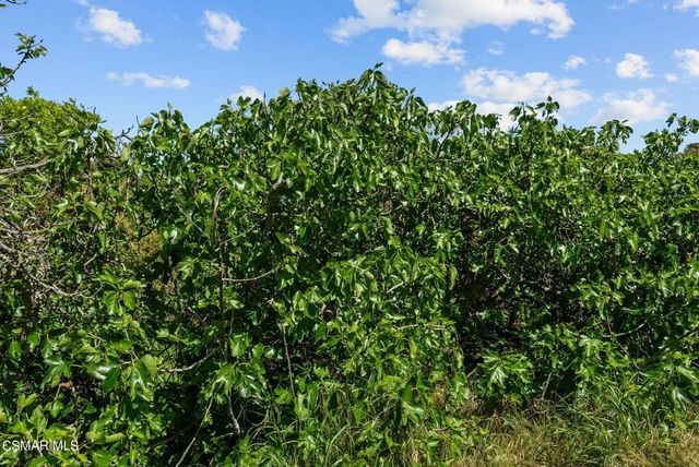 5682 Pine Grove Road, Santa Paula, CA 93060