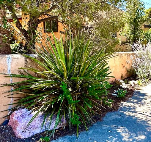 120 Camino Santiago, Santa Fe, NM 87501