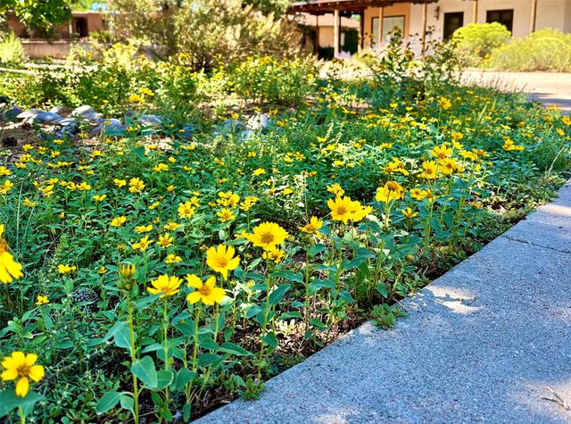 120 Camino Santiago, Santa Fe, NM 87501