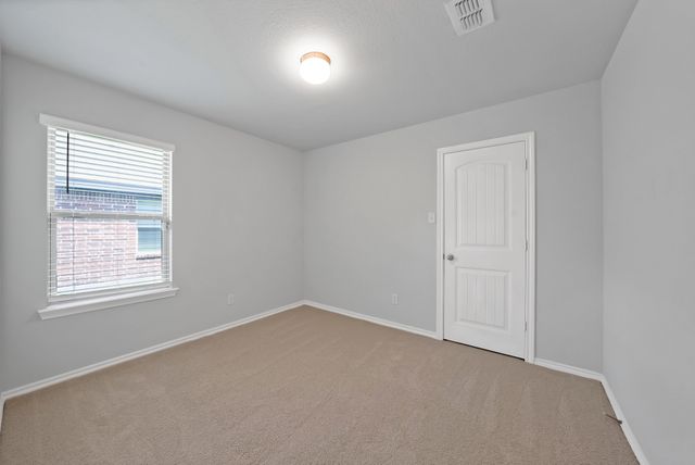 1338 Winding Hollow Drive, Grand Prairie, TX 75052