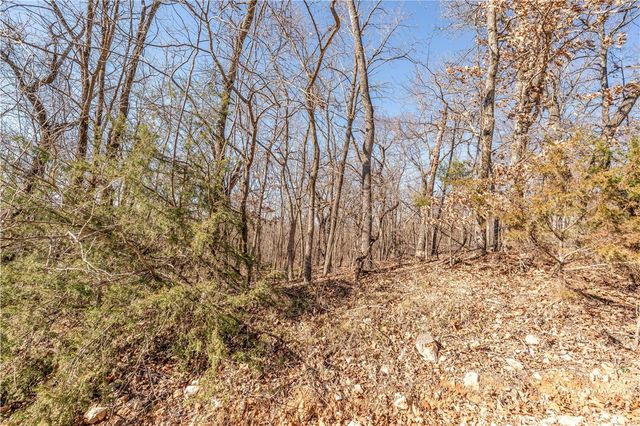 Lots 47 & 48 Appaloosa Drive, Rogers, AR 72756