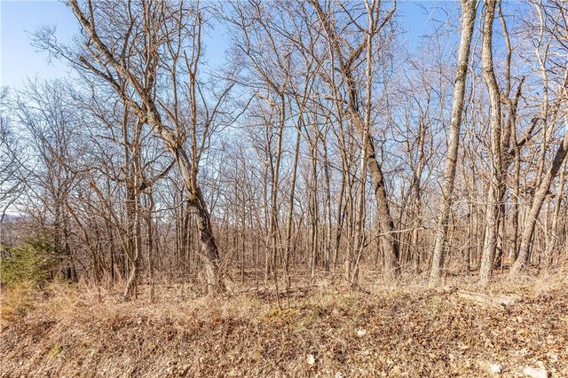 Lots 47 & 48 Appaloosa Drive, Rogers, AR 72756