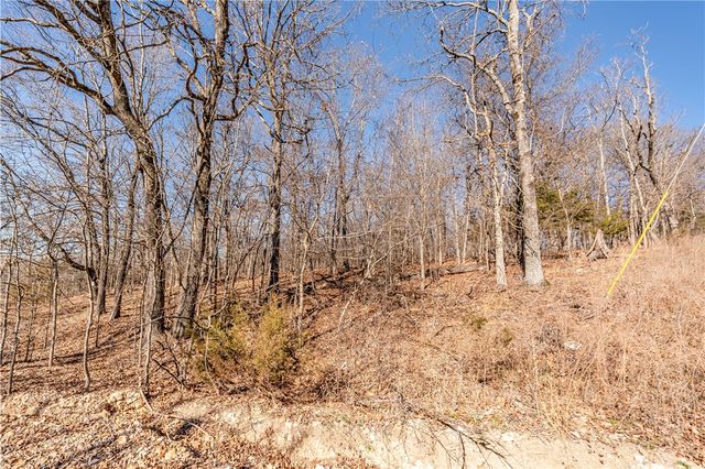 Lots 47 & 48 Appaloosa Drive, Rogers, AR 72756