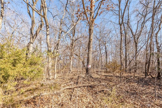 Lots 47 & 48 Appaloosa Drive, Rogers, AR 72756