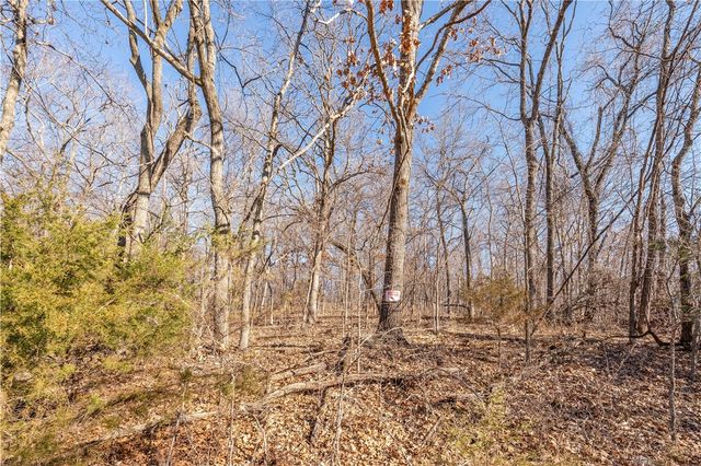 Lots 47 & 48 Appaloosa Drive, Rogers, AR 72756