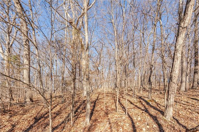 Lots 47 & 48 Appaloosa Drive, Rogers, AR 72756