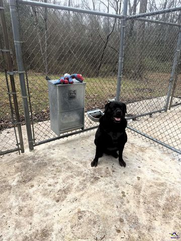 4487 Dixon Rd, Lizella, GA 31052