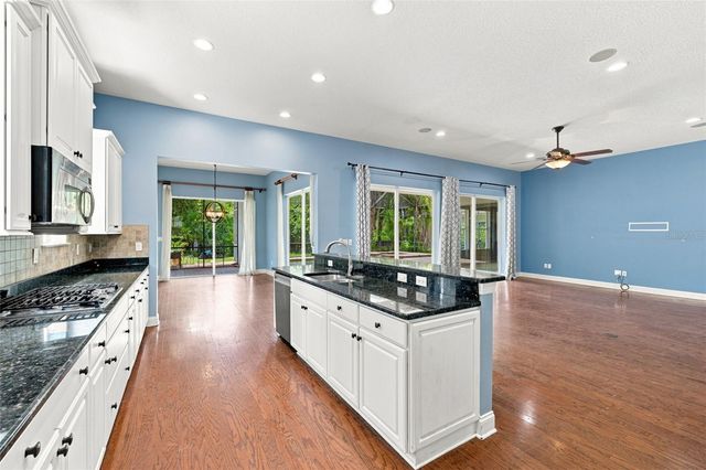 21201 SKY VISTA DRIVE, Land O Lakes, FL 34637