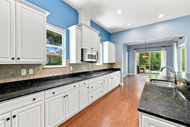 21201 SKY VISTA DRIVE, Land O Lakes, FL 34637