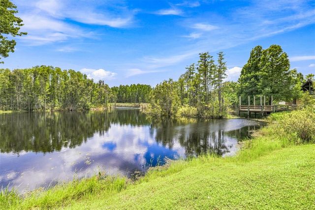 21201 SKY VISTA DRIVE, Land O Lakes, FL 34637