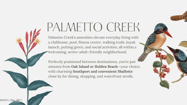 1166 Serotina Drive SE, Bolivia, NC 28422