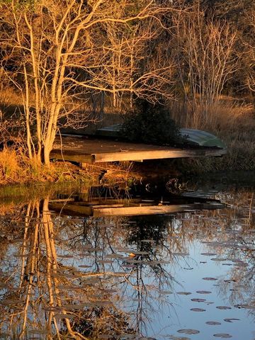 1141 Reeves Road, Garwood, TX 77442