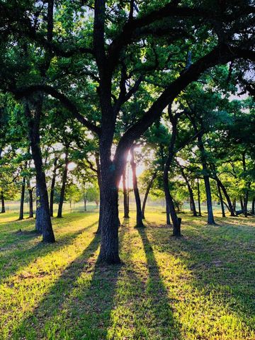 1141 Reeves Road, Garwood, TX 77442