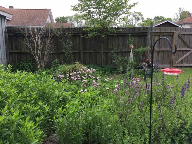 204 S 17th Street, Murphysboro, IL 62966