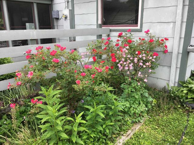 204 S 17th Street, Murphysboro, IL 62966